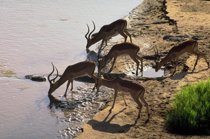 Dünyadan Manzaralar