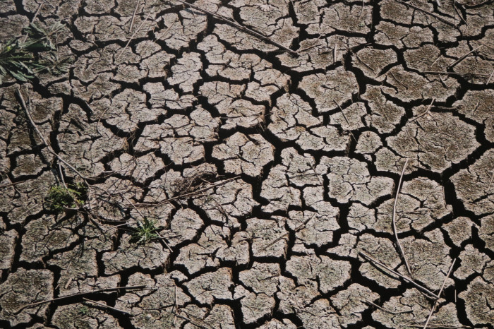 Haber Fotoğrafları