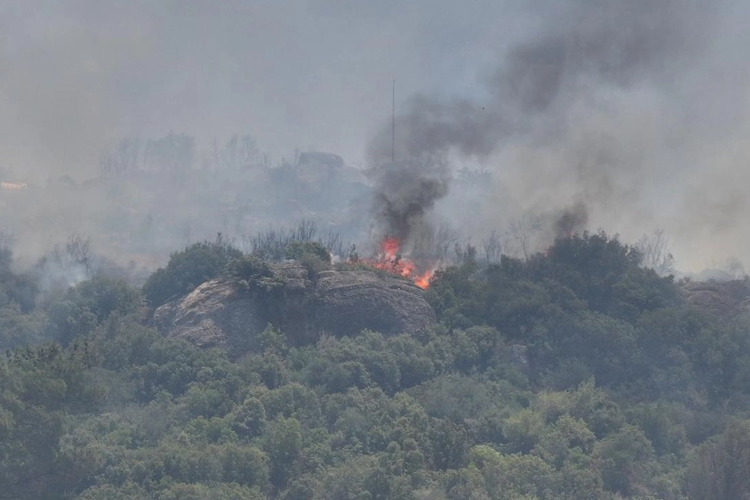 İzmir'de Orman Yangını Kontrol Altında