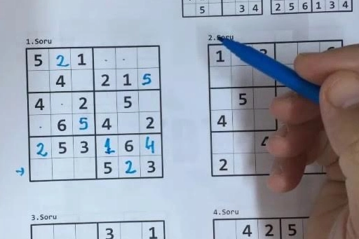 Alzheimer İle Mücadelede Sudoku'nun Rolü