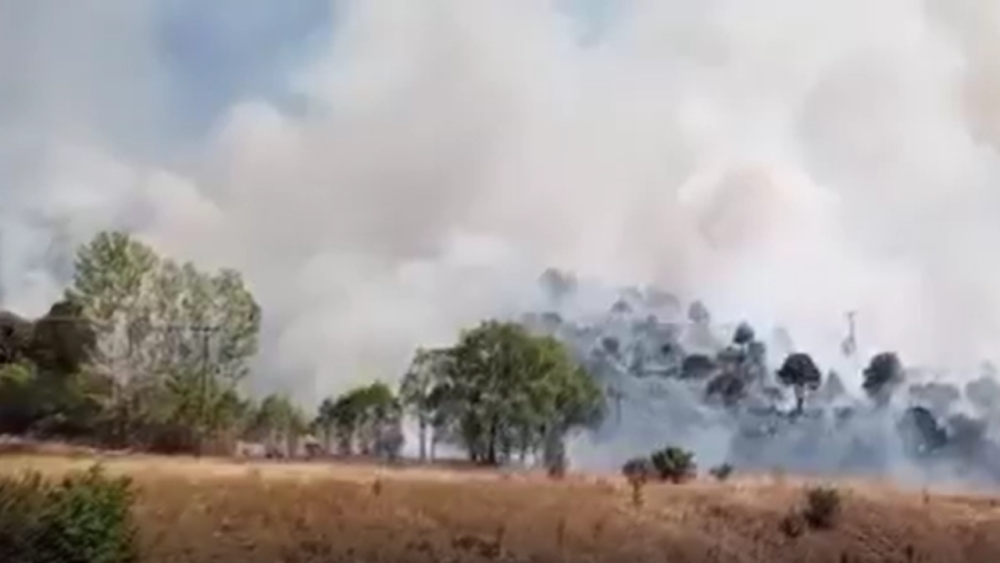Sivas'ın Zara İlçesinde Yangın Alarmı!
