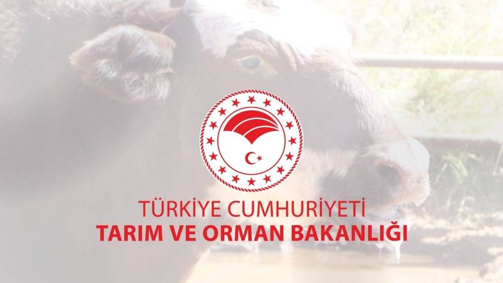 Tarım ve Orman Bakanlığı, şap hastalığının kontrol altına aldığını açıkladı