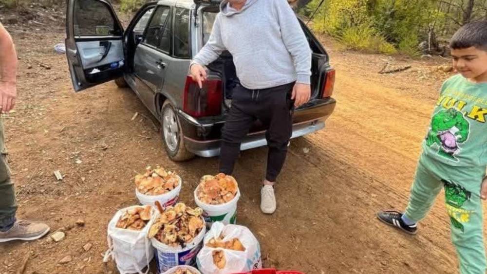 Babasının anısına mantar toplayıp mahalleliye dağıtıyor