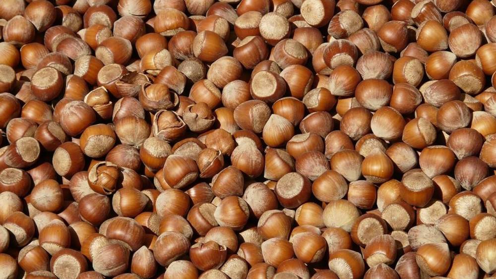 Fındık İhracatında Gerileme Yaşandı