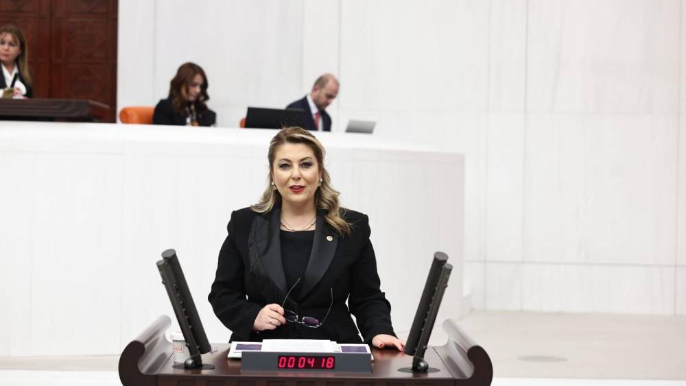 Elvan Işık Gezmiş Giresun'un ulaşım sorunlarını sordu