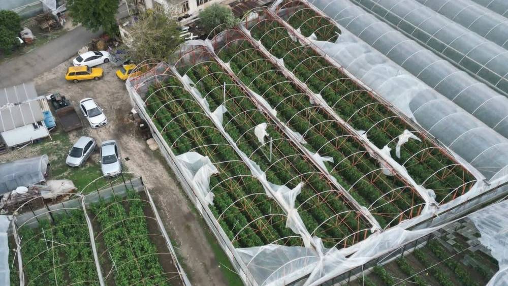 Demre’de hortum felaketi: Kapalı tarım alanlarında seralar zarar gördü