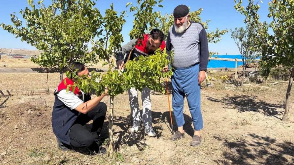 Bacalı Köyü'nde durgun T göz aşısı uygulaması ve takip çalışmaları yapıldı