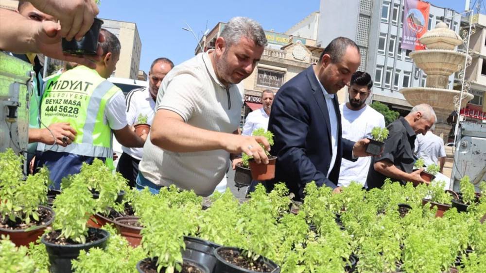 Midyat'ta Çiçek Dağıtımı Etkinliği Düzenlendi