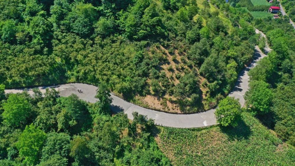 Ünye Yeniköy'de Beton Yol Sevinci