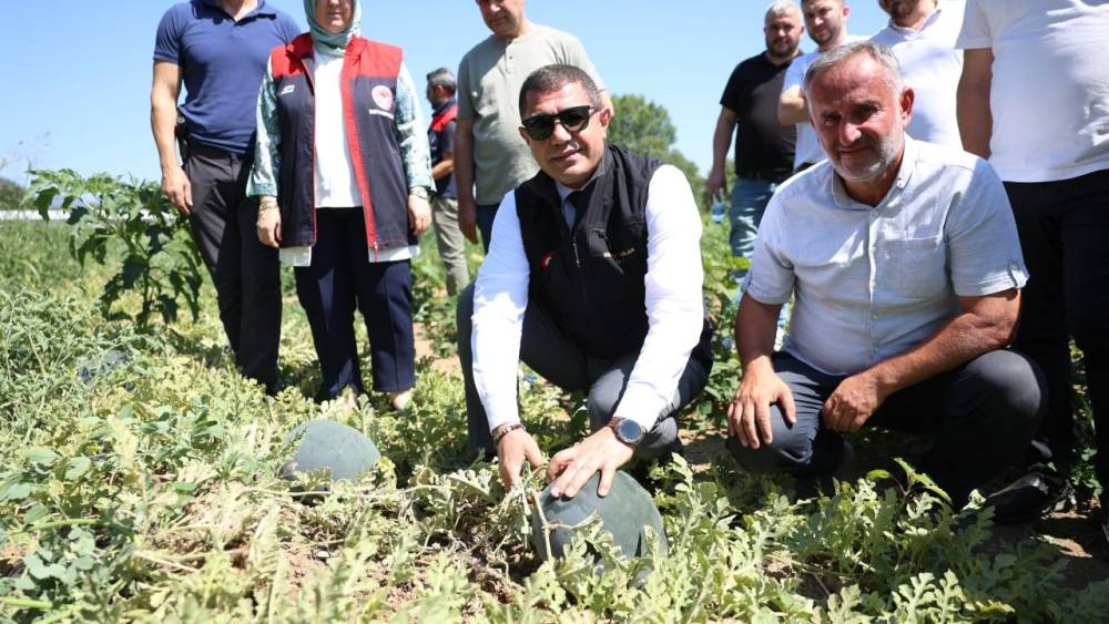 Düzce'de Tarıma Vali Desteği
