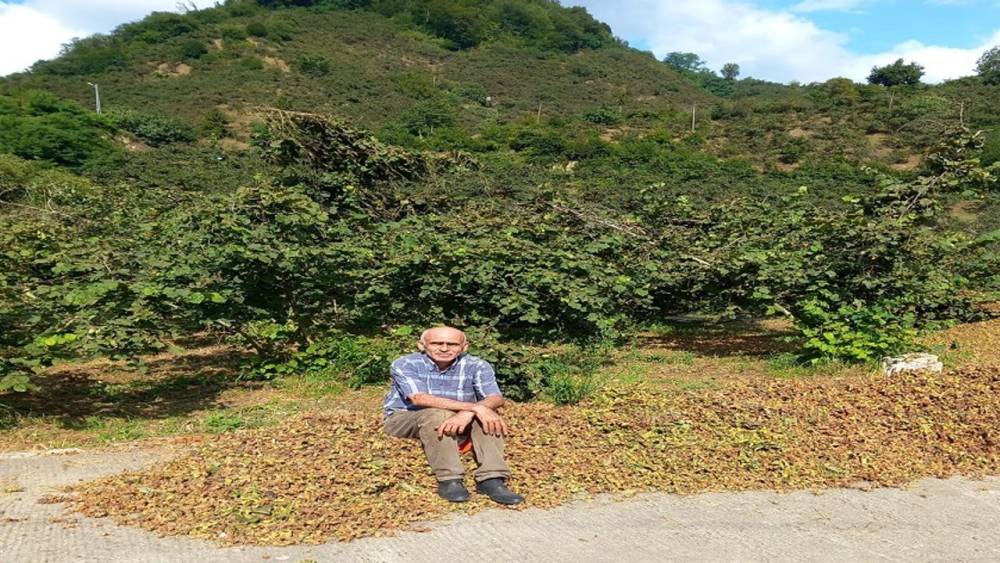 Fındık İhracatına Kuraklık Darbesi