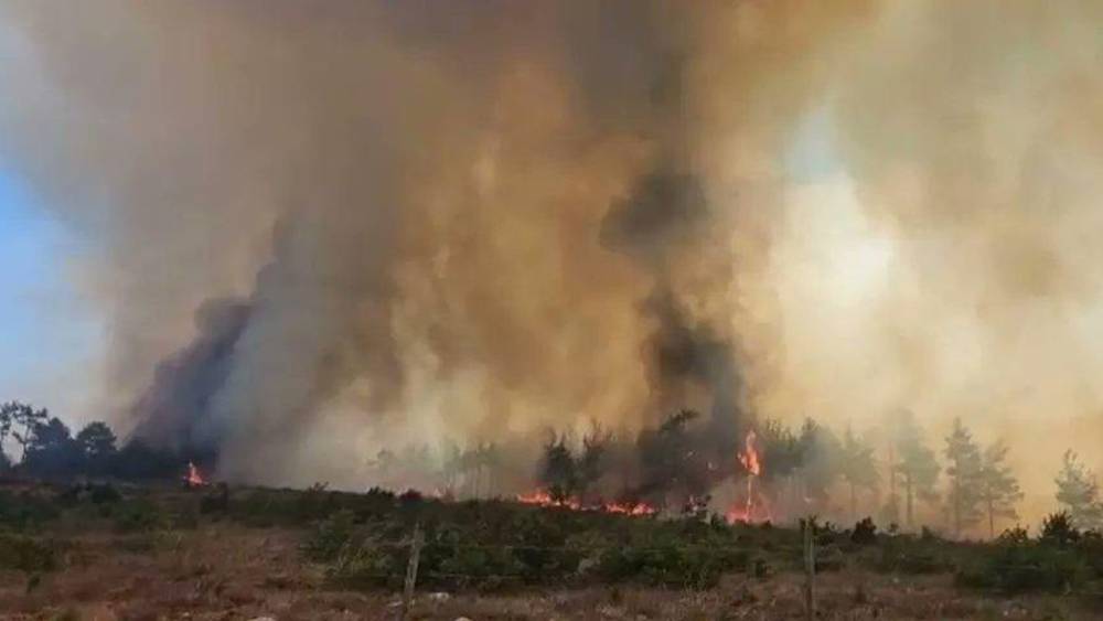 Hatay ve Mersin'deki Yangınlar Kontrol Altında