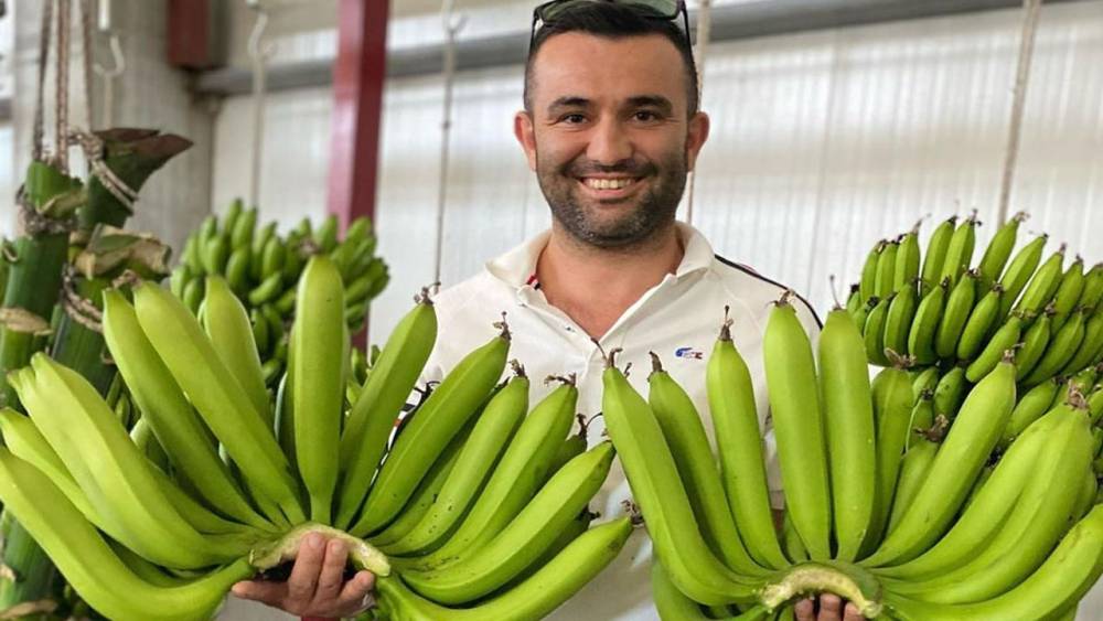 Antalya Serik'te Muz Üretimi Artıyor