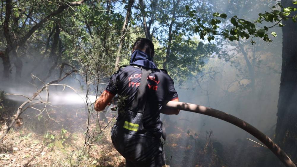 Kocaeli'ndeki Yangın Büyük Oranda Kontrol Altında