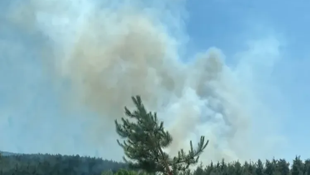 Çanakkale'deki Orman Yangını Kontrol Altına Alınmaya Çalışılıyor