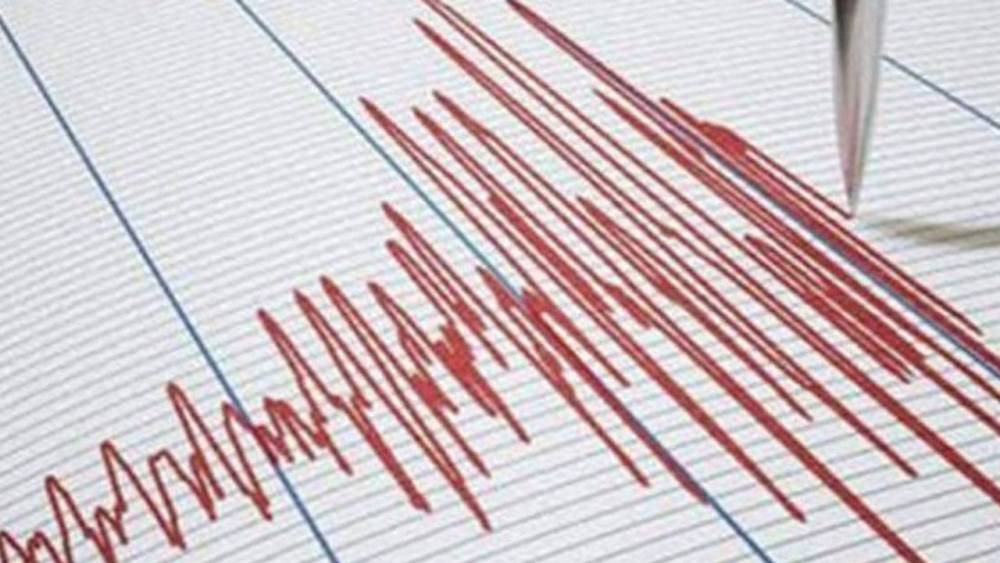 Endonezya'da Depremle Sarsıldı