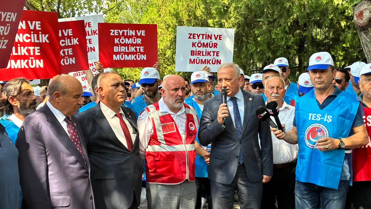 Muğla'da Zeytin Yasası Tartışmaları