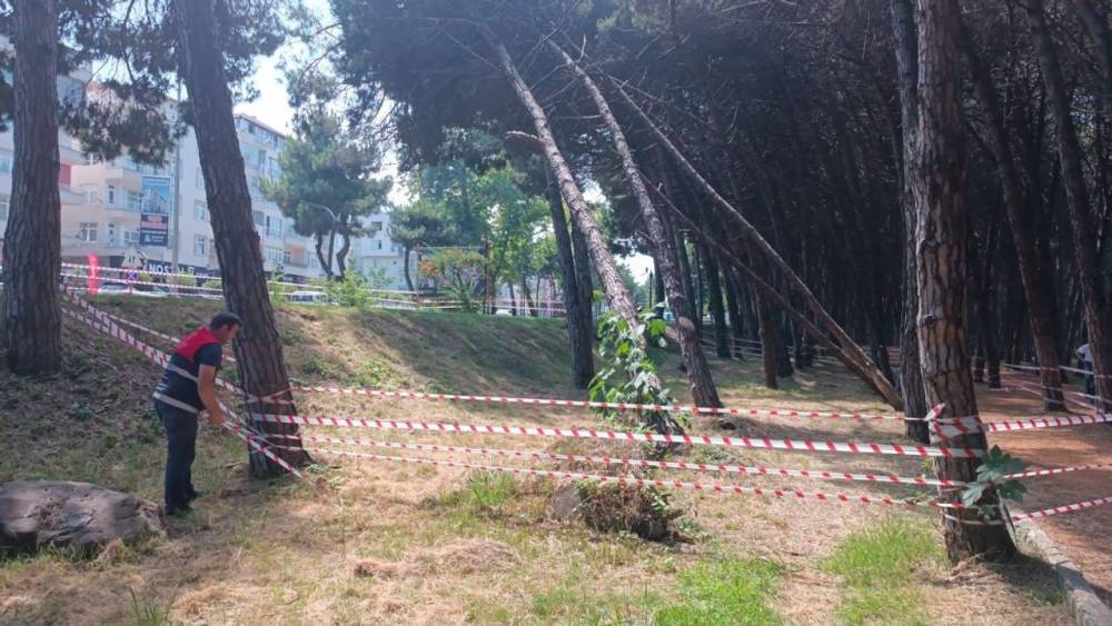 Ordu'da Güvenli Alanlar İçin Belediye Çalışması