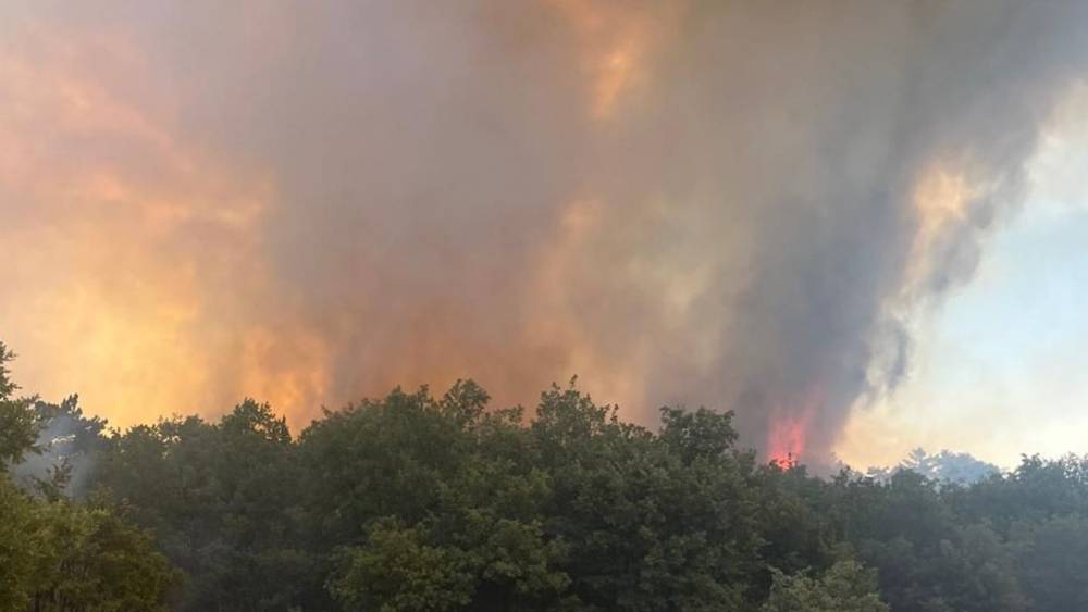 Bursa Orman Yangınına Hızlı Müdahale