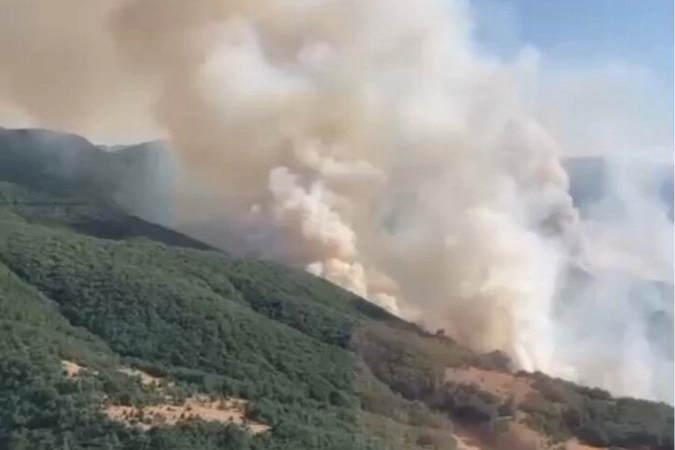  İzmir Bergama'daki Yangın Kontrol Altında 