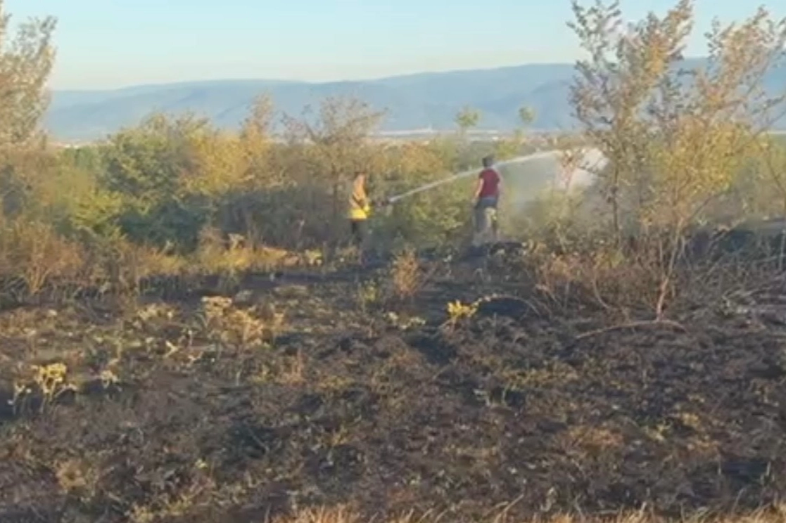 Konuralp'te Örtü Yangını Söndürüldü