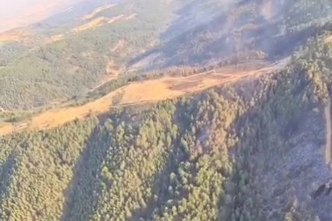 Uşak ve Bilecik'te Yangın Kontrol Altında, Geyve'de Çalışmalar Sürüyor