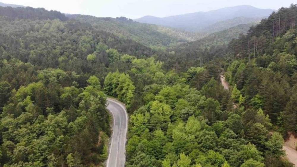 Türkiye Orman Varlığında Avrupa'da Zirvede