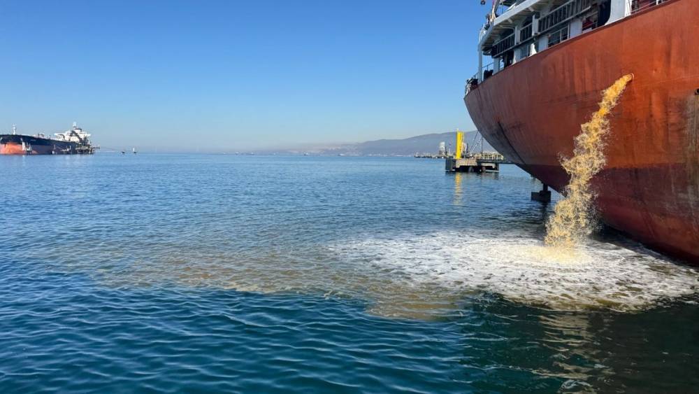 İzmit Körfezi'nde Çevre Denetimleri Sürüyor