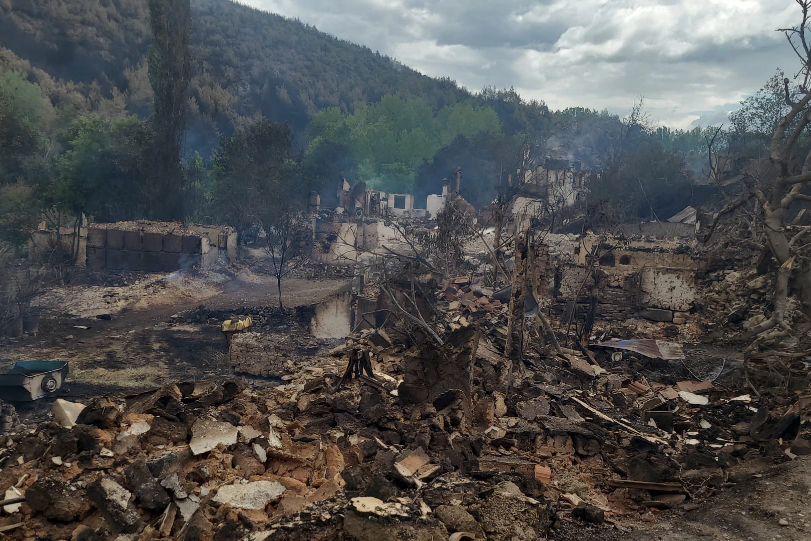 Orman Yangınları Sonrası Hasar Tespiti Başladı