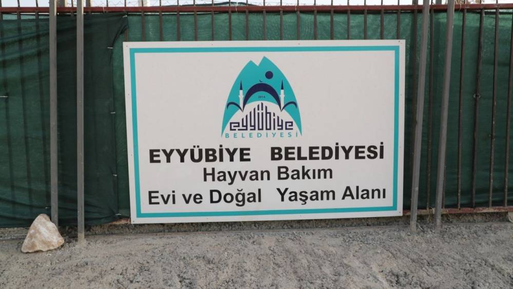 Şanlıurfa'da Sokak Hayvanlarına Yeni Yuva