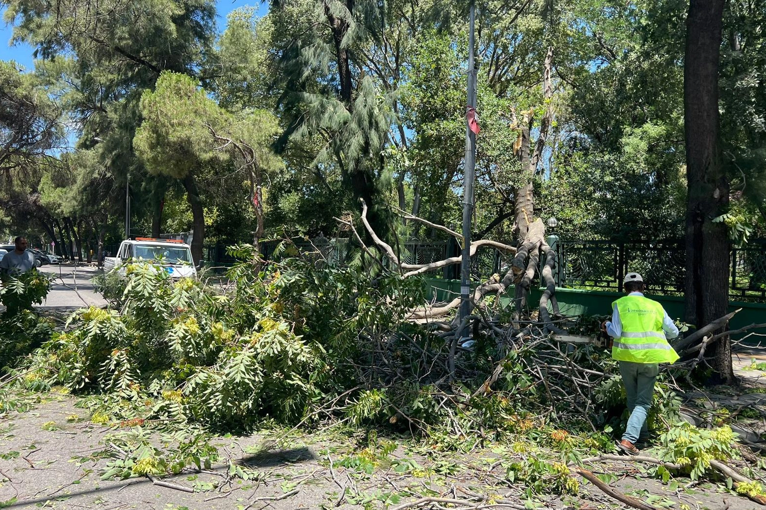 İzmir'de Orman Yangınlarına Karşı Yoğun Mücadele