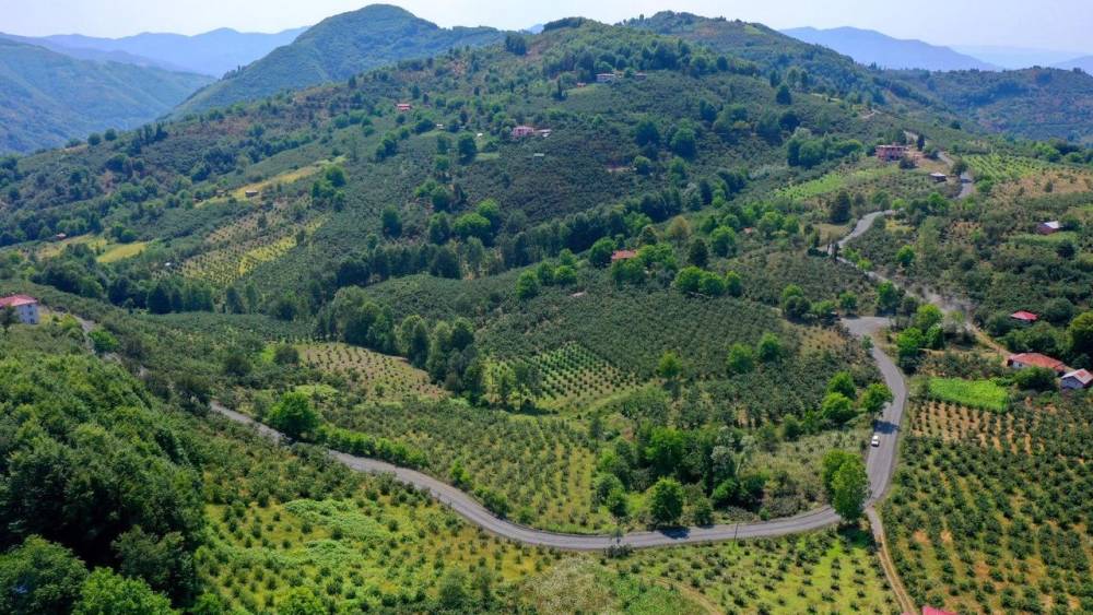 Ordu'nun Yollarında Büyük Değişim