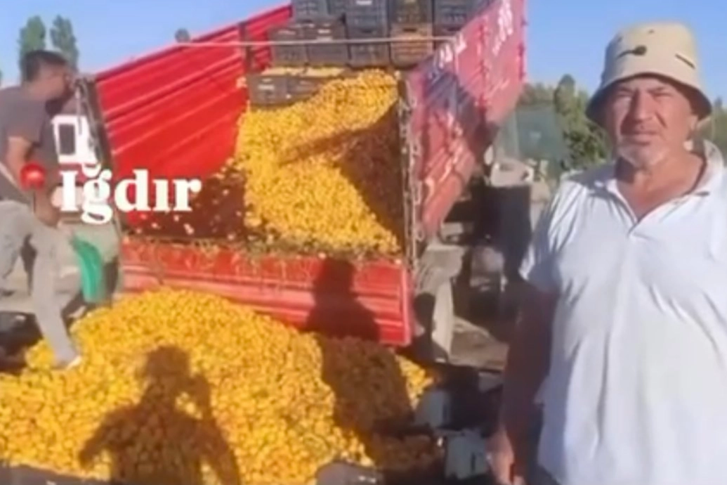 Sosyal Medyadaki Yanıltıcı Paylaşıma Ceza