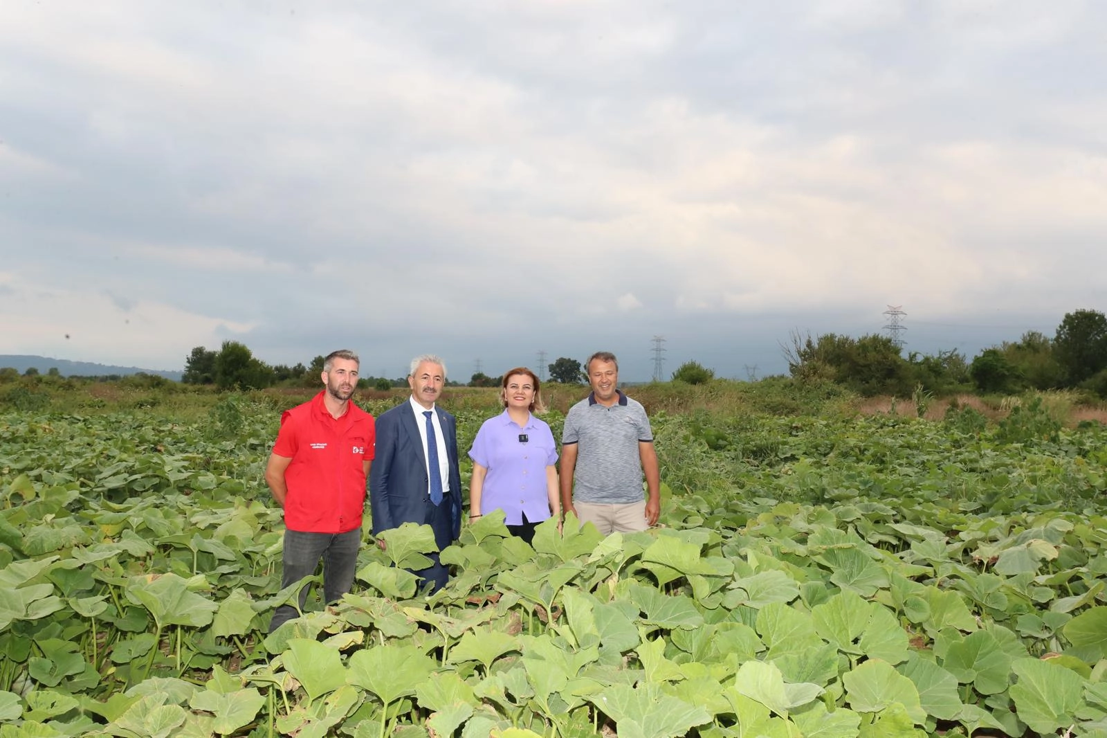 Kabaktan Sonra Karpuz ve Sebze Üretimi Geliyor