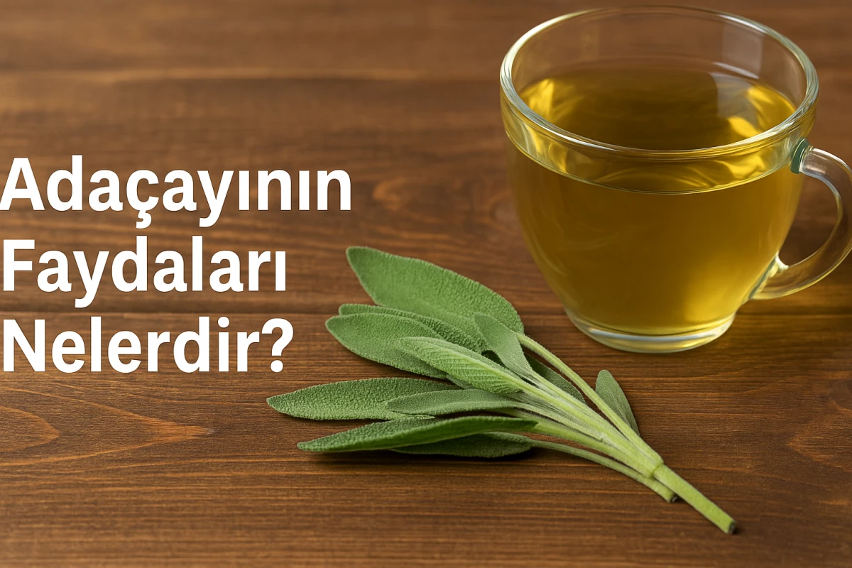 Adaçayının Faydaları Nelerdir? Hangi Durumlarda Kullanılır?