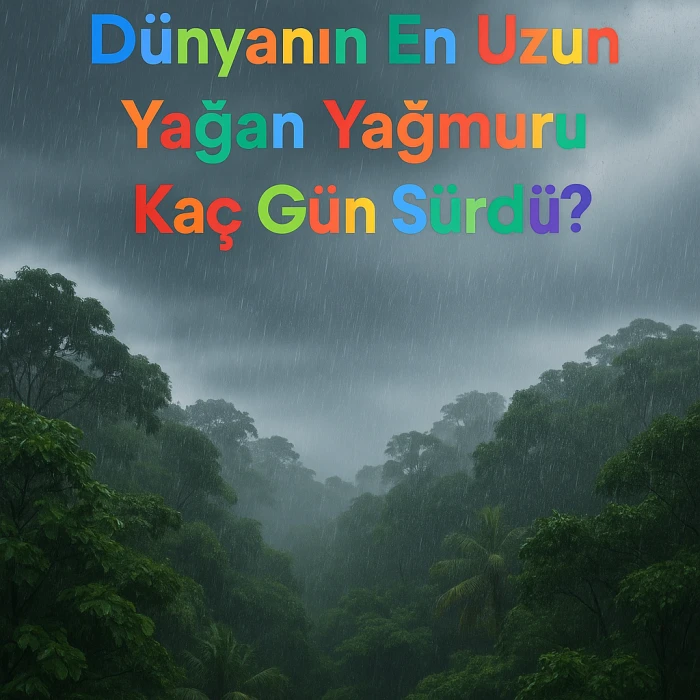 Dünyanın En Uzun Yağan Yağmuru Kaç Gün Sürdü? İşte Rekor