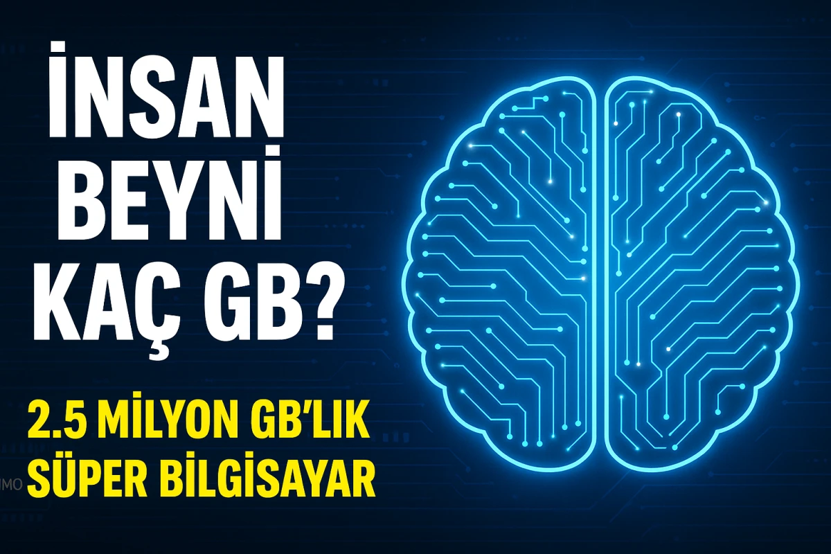 İnsan Beyni Kaç GB Hafızaya Sahip?